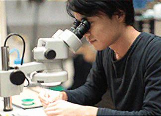 理工学部