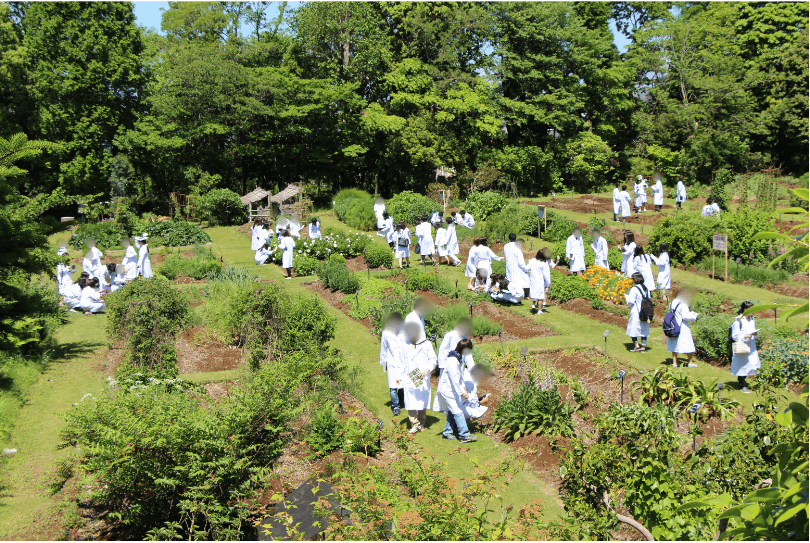 薬用植物園の写真